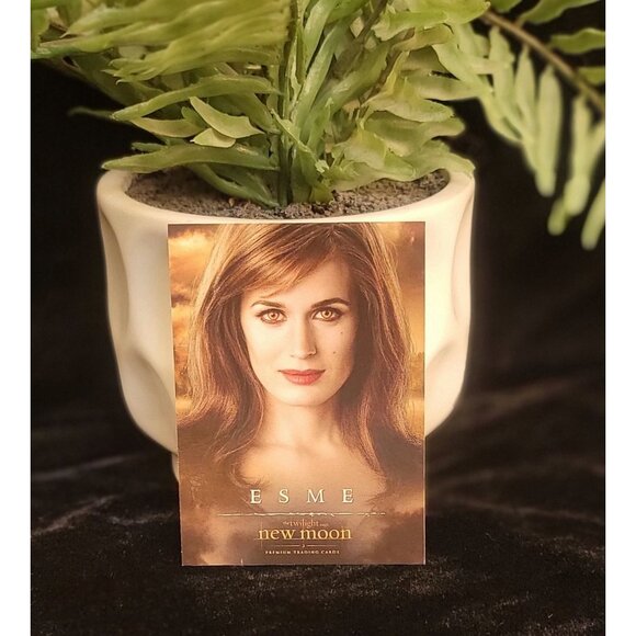 Collectible Esme New Moon Trading Card - Picture 2 of 6